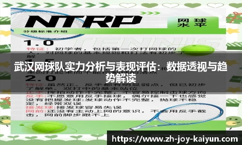 武汉网球队实力分析与表现评估：数据透视与趋势解读